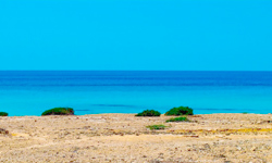 Пляж Platja de Tramuntana, Formentera